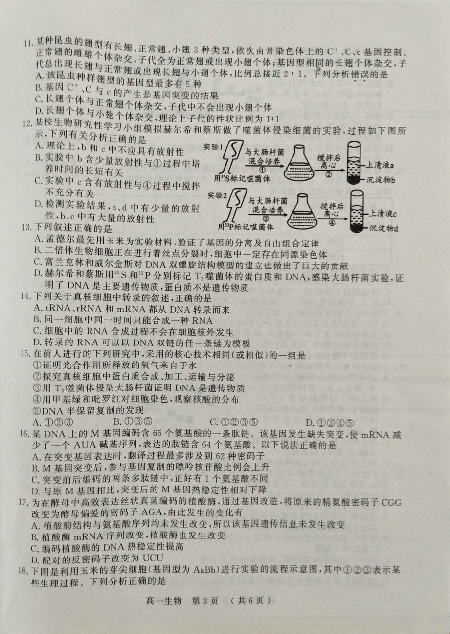 河南驻马店高一生物期末考试PDF 1.pdf_第3页