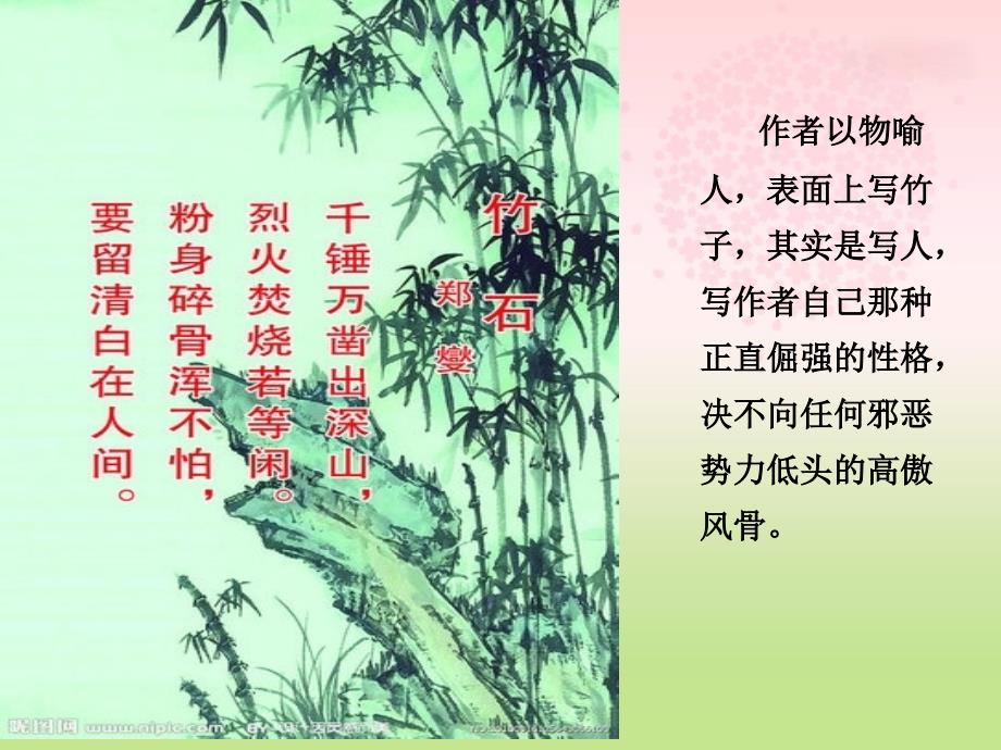 《白杨》课件讲课用_第2页