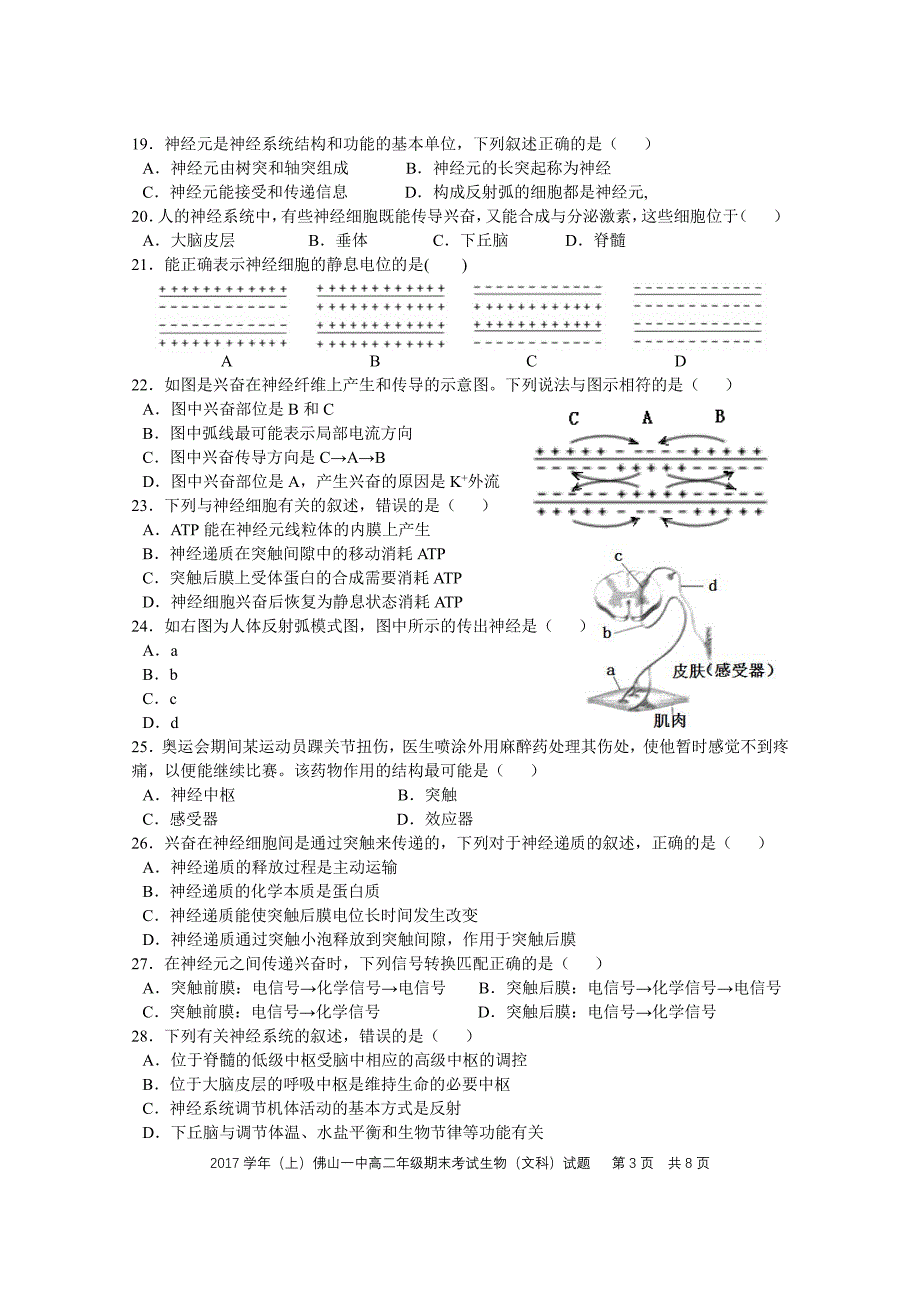 广东高二生物期末考试 文pdf.pdf_第3页