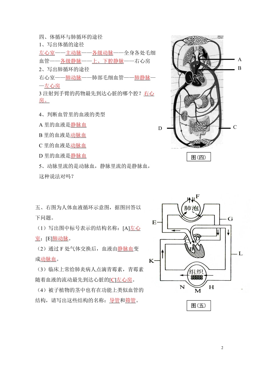 2012新课标-血液循环识图题_第2页