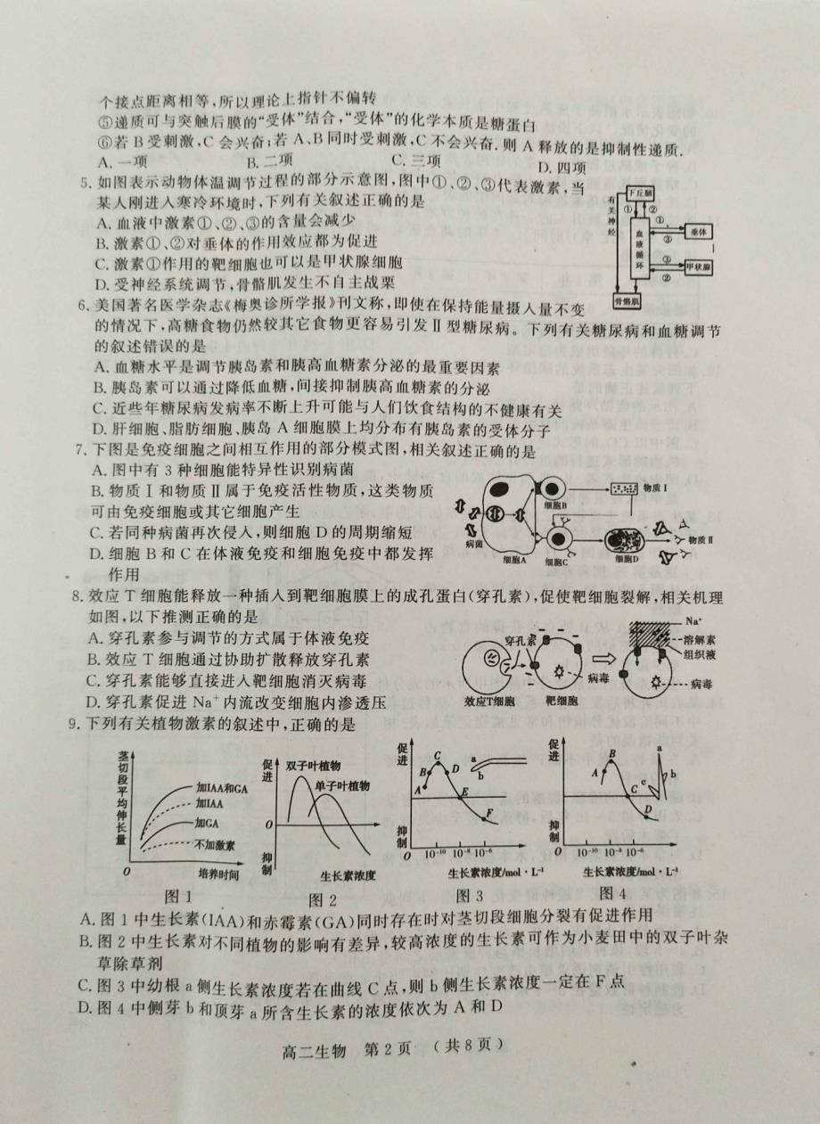 河南驻马店高二生物期末考试PDF.pdf_第2页