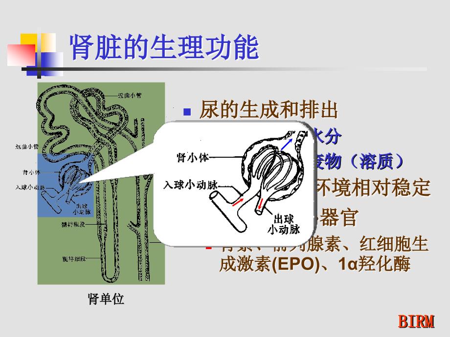 CRRT的基础知识PPT参考课件_第3页