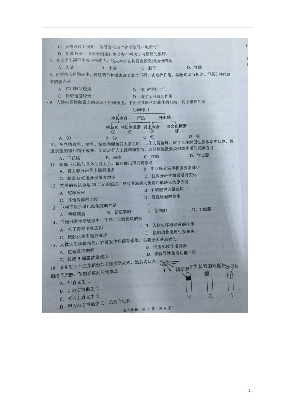 江苏高二生物期中.doc_第2页