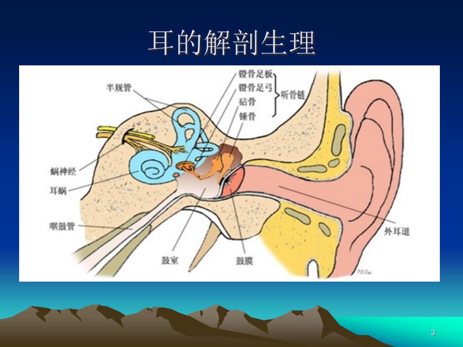 听觉诱发电位简介及ABR的临床应用PPT参考课件_第3页