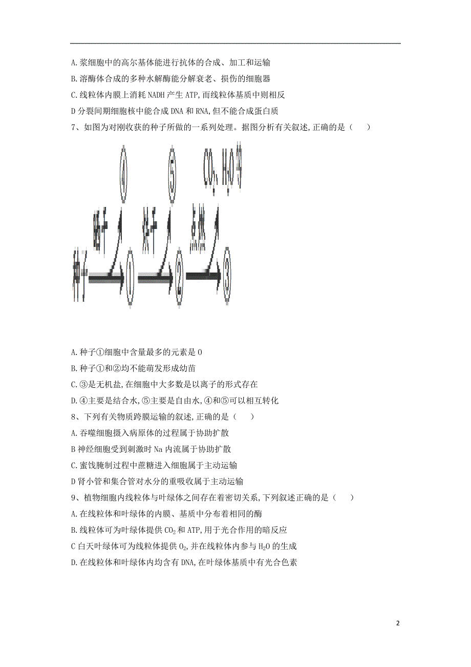 辽宁沈阳城郊重点联合体2020高三生物期中21.doc_第2页
