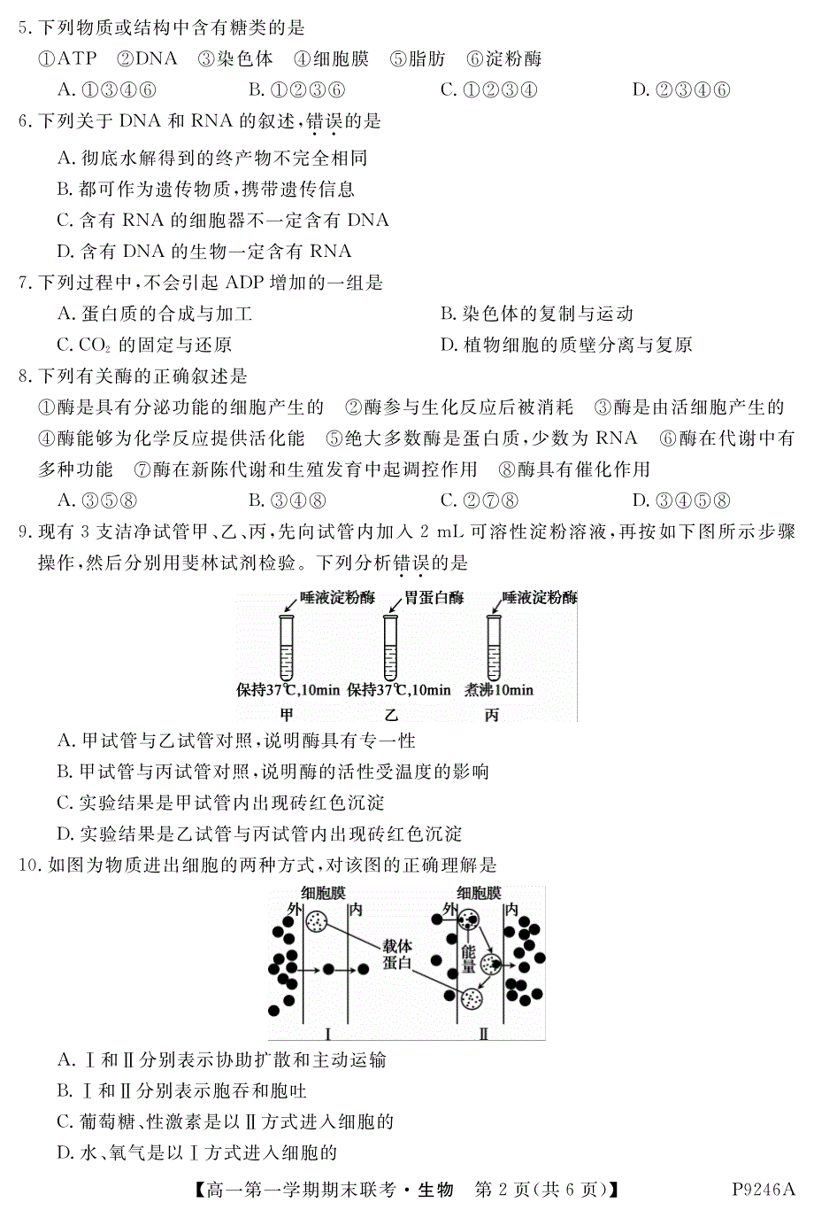 安徽宣城八校高一生物期末联考PDF 1.pdf_第2页