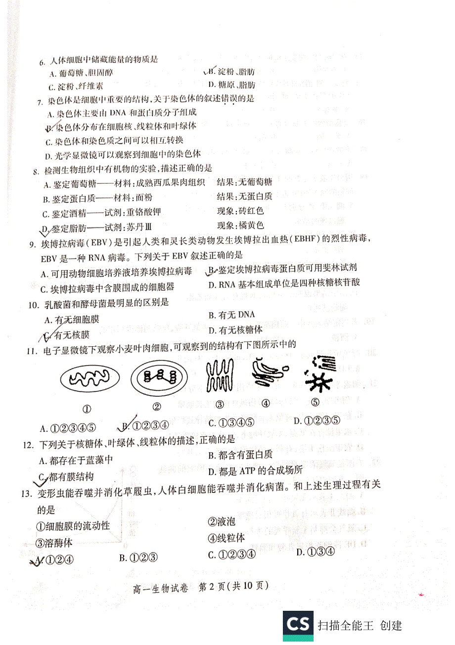 北京市平谷区2019-2020学年高一生物上学期期末考试试题（PDF）.pdf_第2页