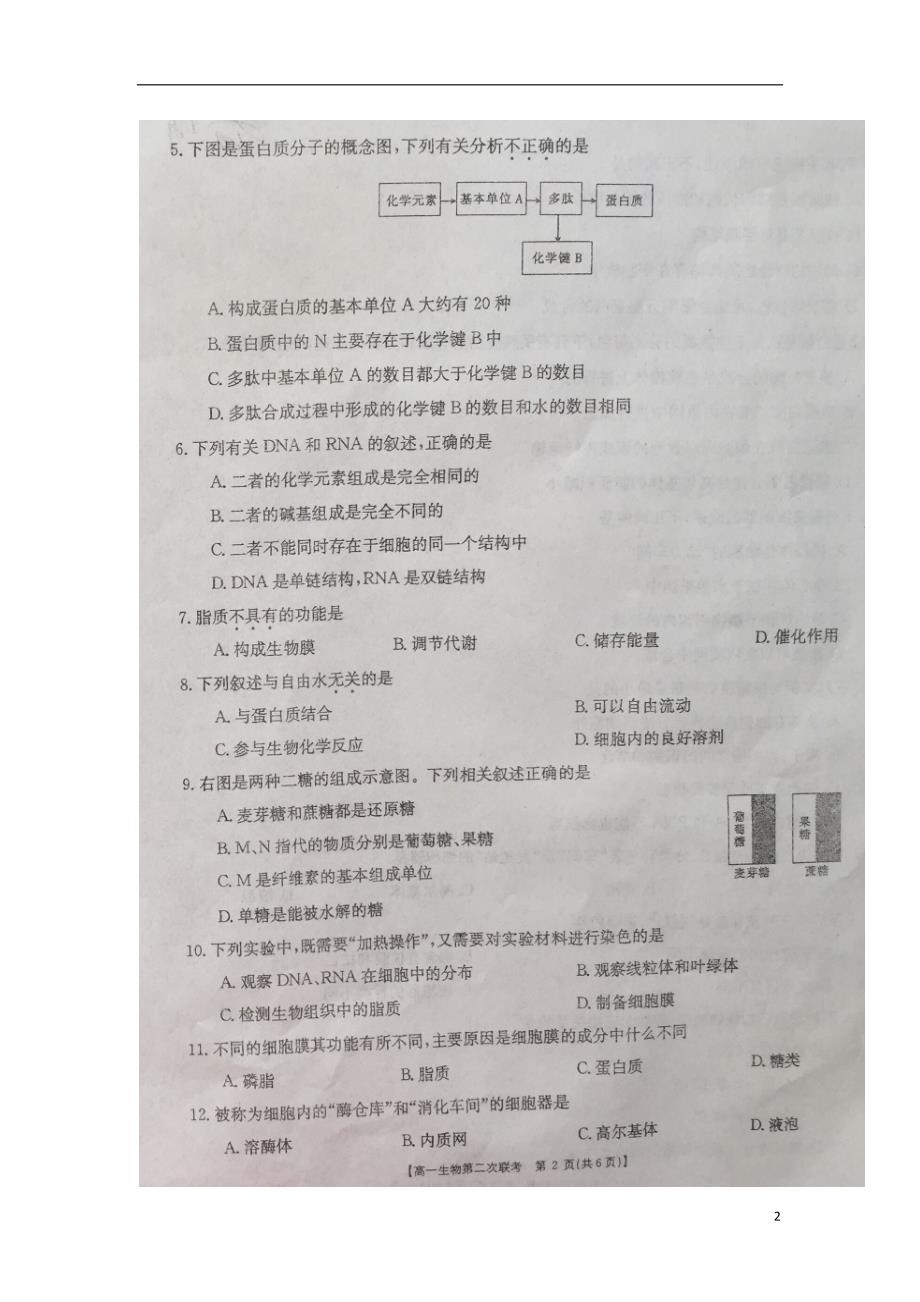 河南平顶山、许昌、汝州高一生物第二次期中联考.doc_第2页