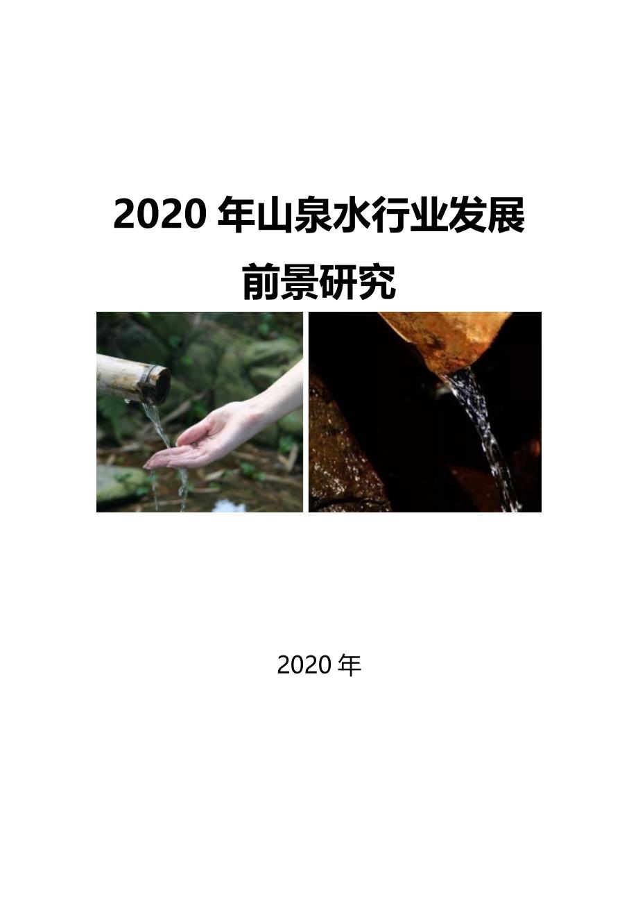 2020山泉水行业发展前景研究_第1页