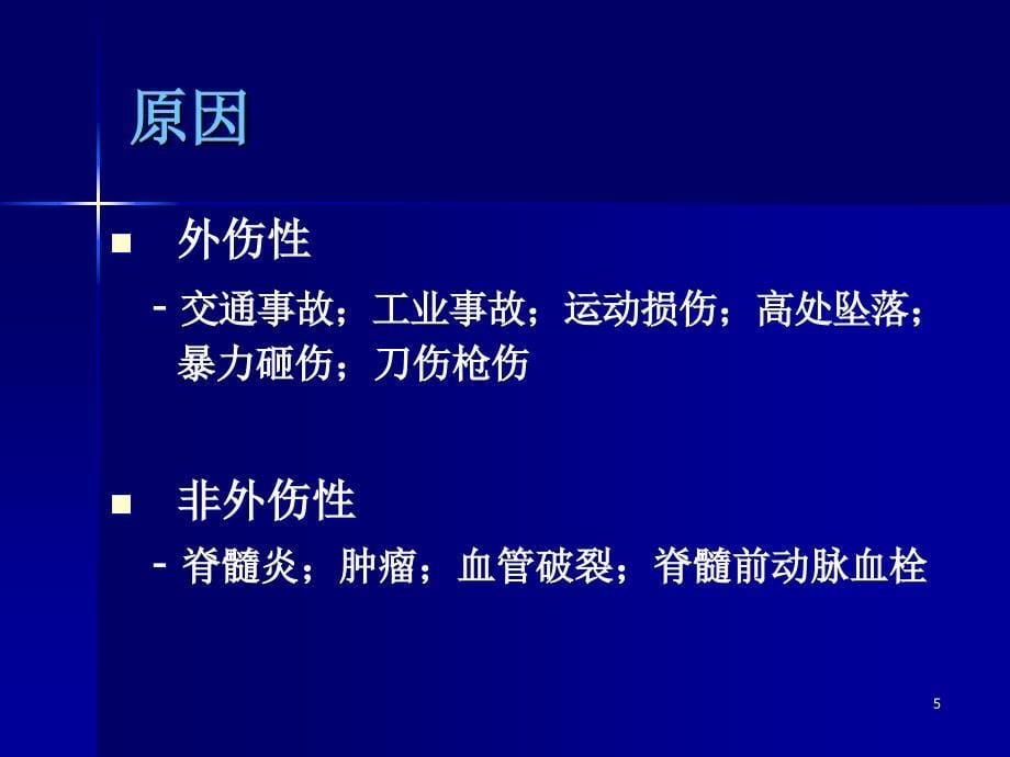 脊髓损伤的康复训练PPT幻灯片_第5页