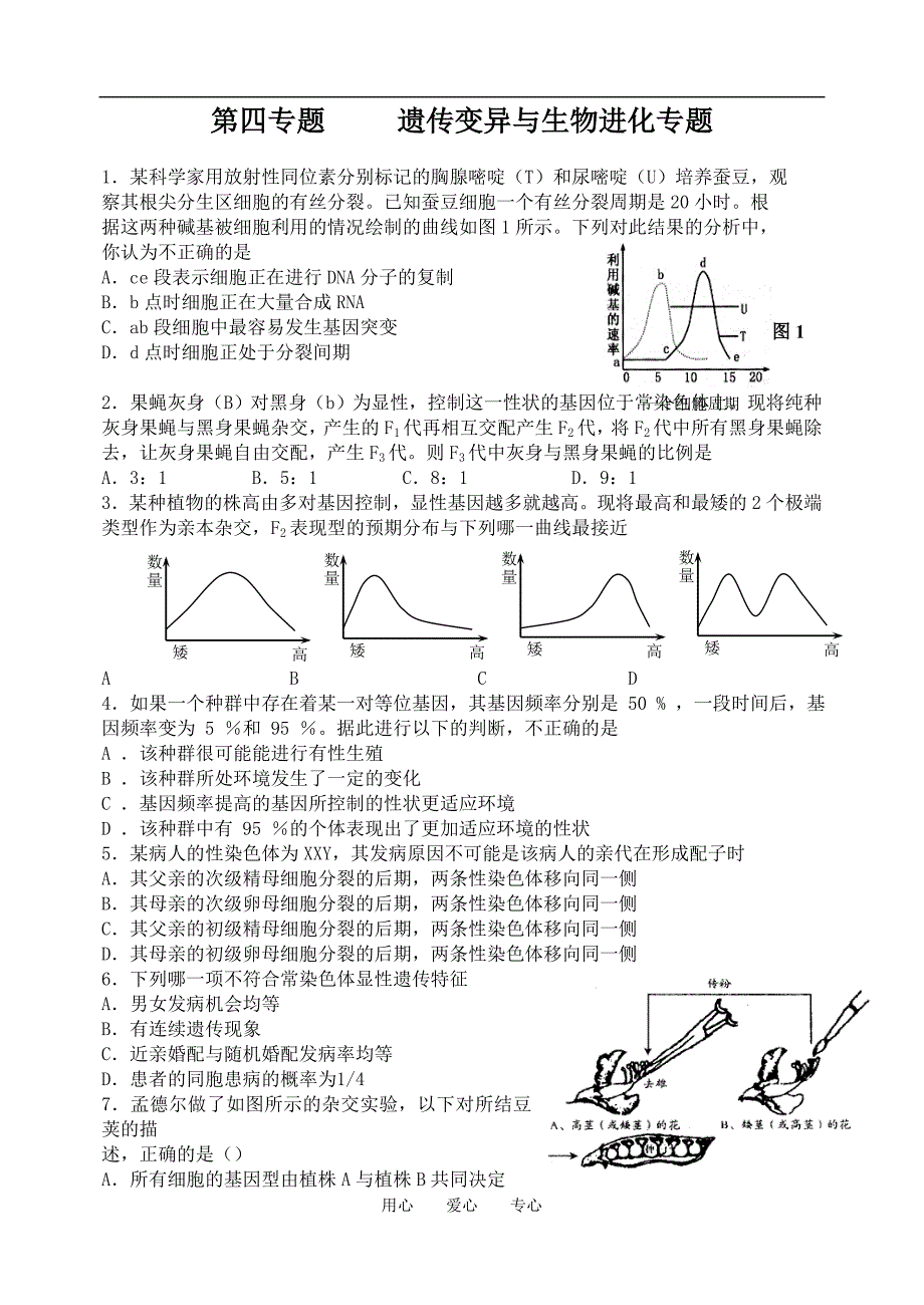 高三生物第四遗传变异与生物进化整理.doc_第1页