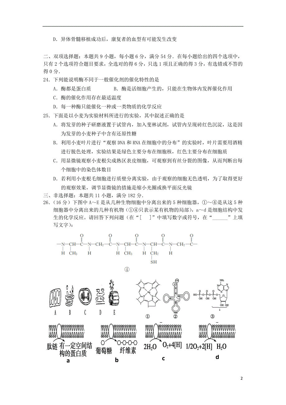 广东汕头金山中学高三生物期中.doc_第2页