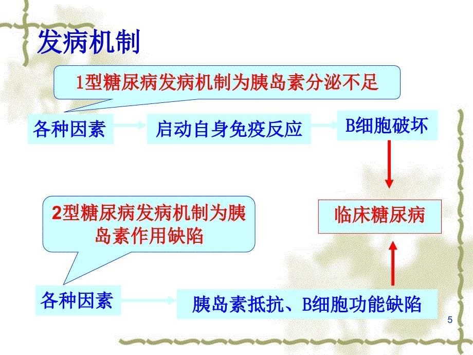 糖尿病病人的护理PPT参考_第5页