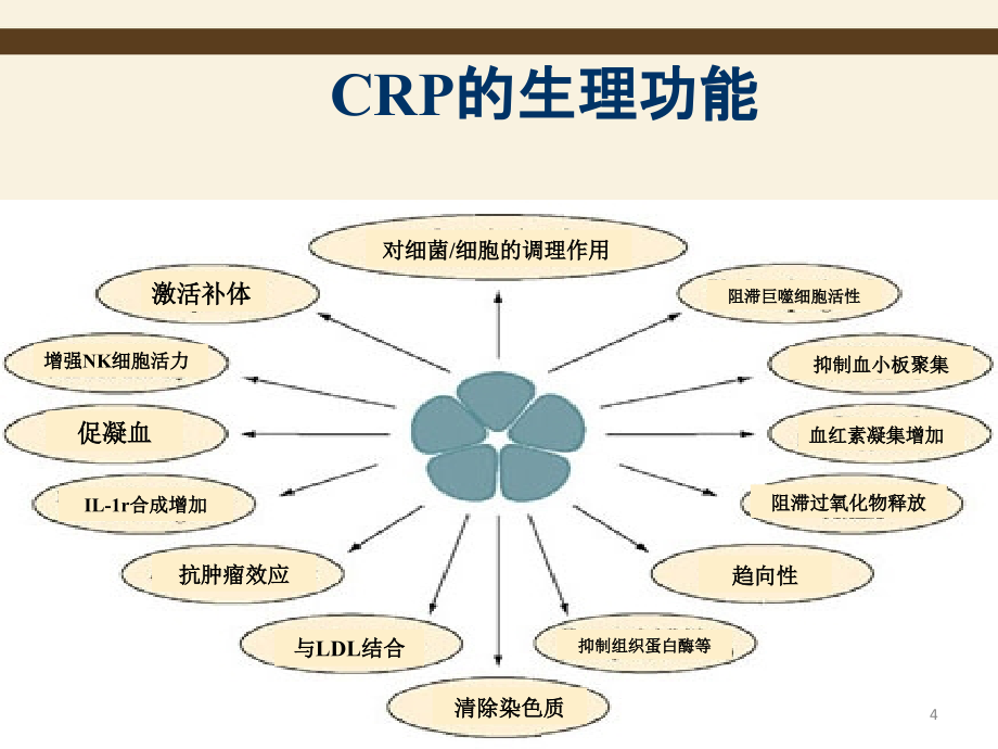 常见临床检验项目的临床意义及标本采集PPT幻灯片_第4页