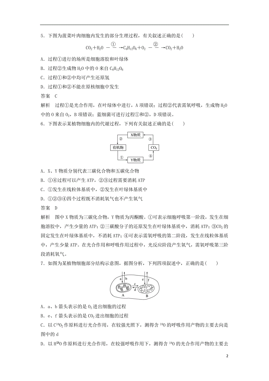 新高考生物一轮复习第二单元细胞的代谢第8讲光合作用与细胞呼吸精练浙科1.doc_第2页