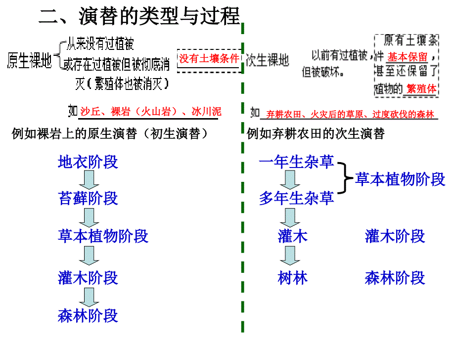 ⑶-⒋1生物群落的演替(一)_第4页