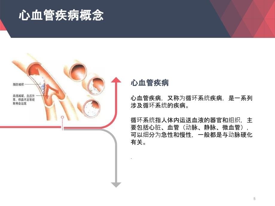 心血管疾病-高血压-代文PPT参考课件_第5页