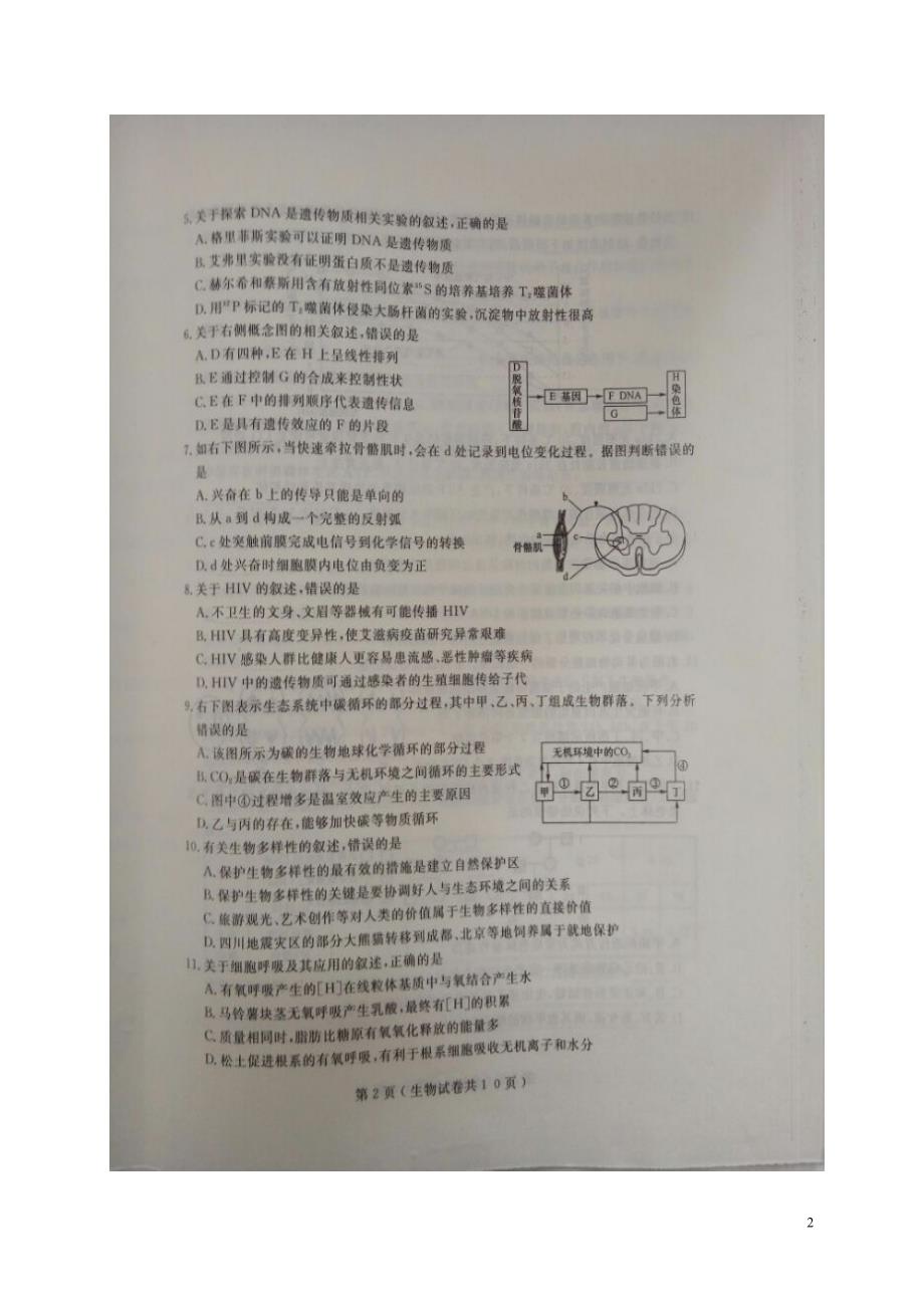 辽宁大连高三生物双基测试1.doc_第2页