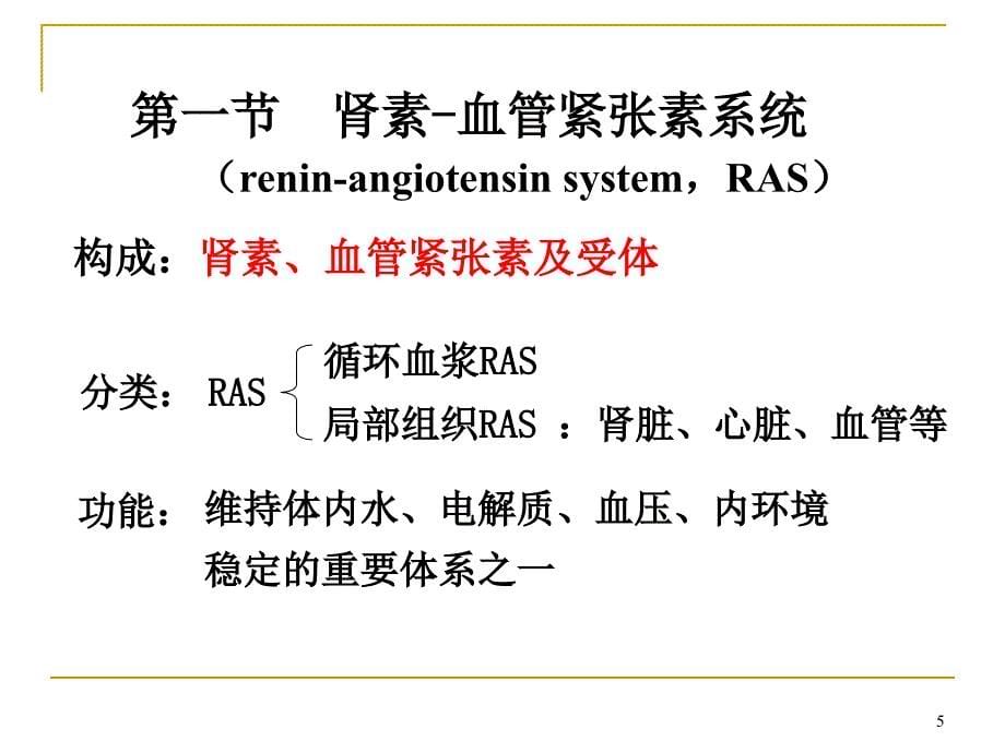 药理学-RAS系统药物PPT幻灯片_第5页