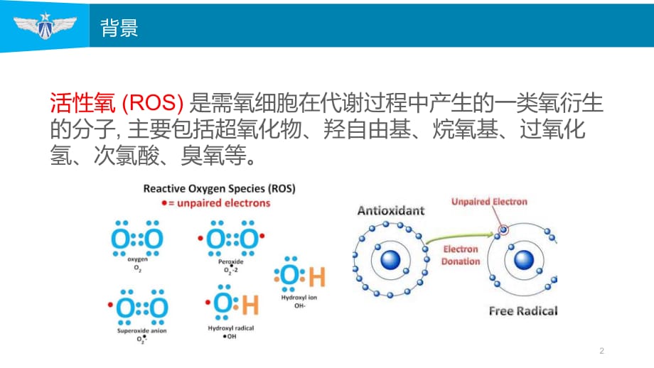 ROS和纤维化疾病PPT参考课件_第2页