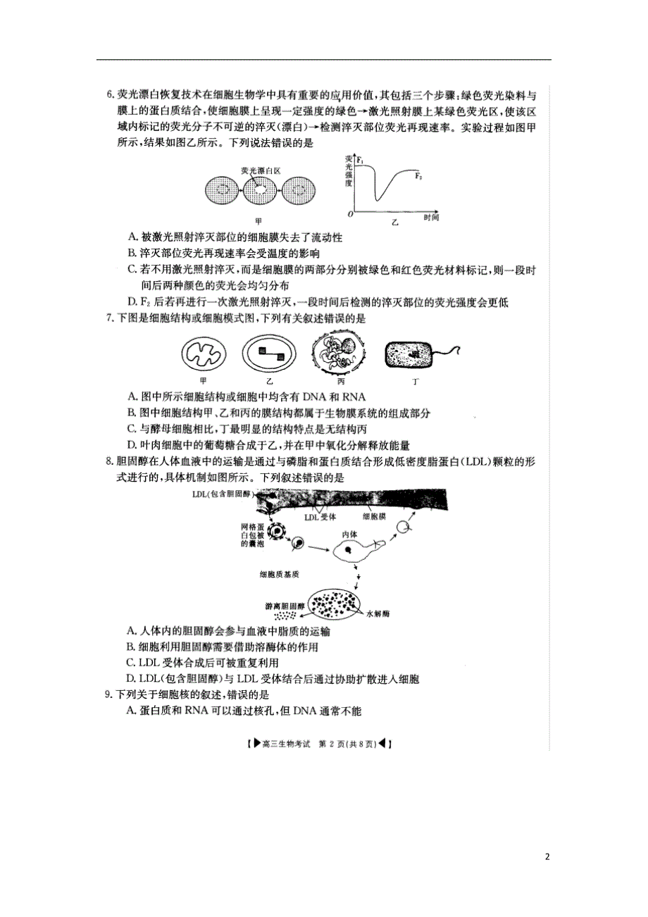 湖北麻城2020高三生物联考.doc_第2页