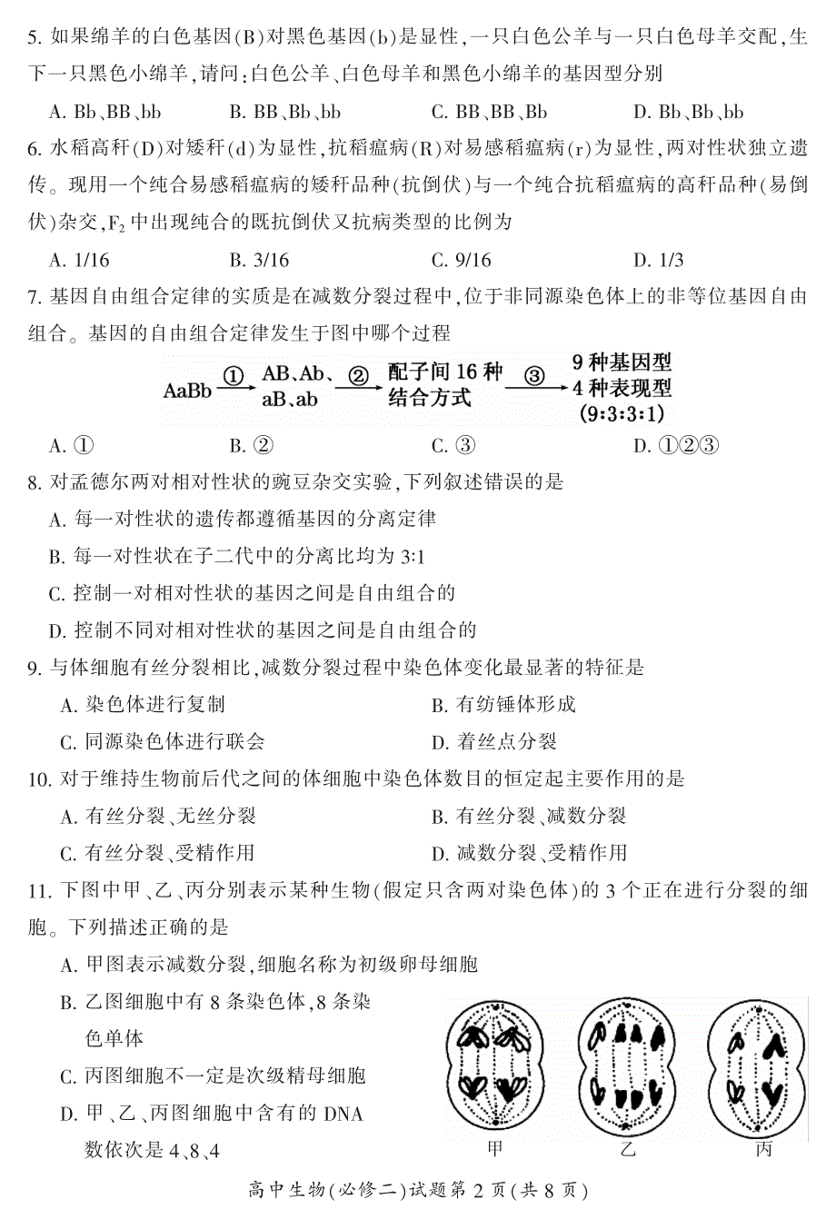 湖南郴州高一生物学科教学状况抽测期末PDF 1.pdf_第2页