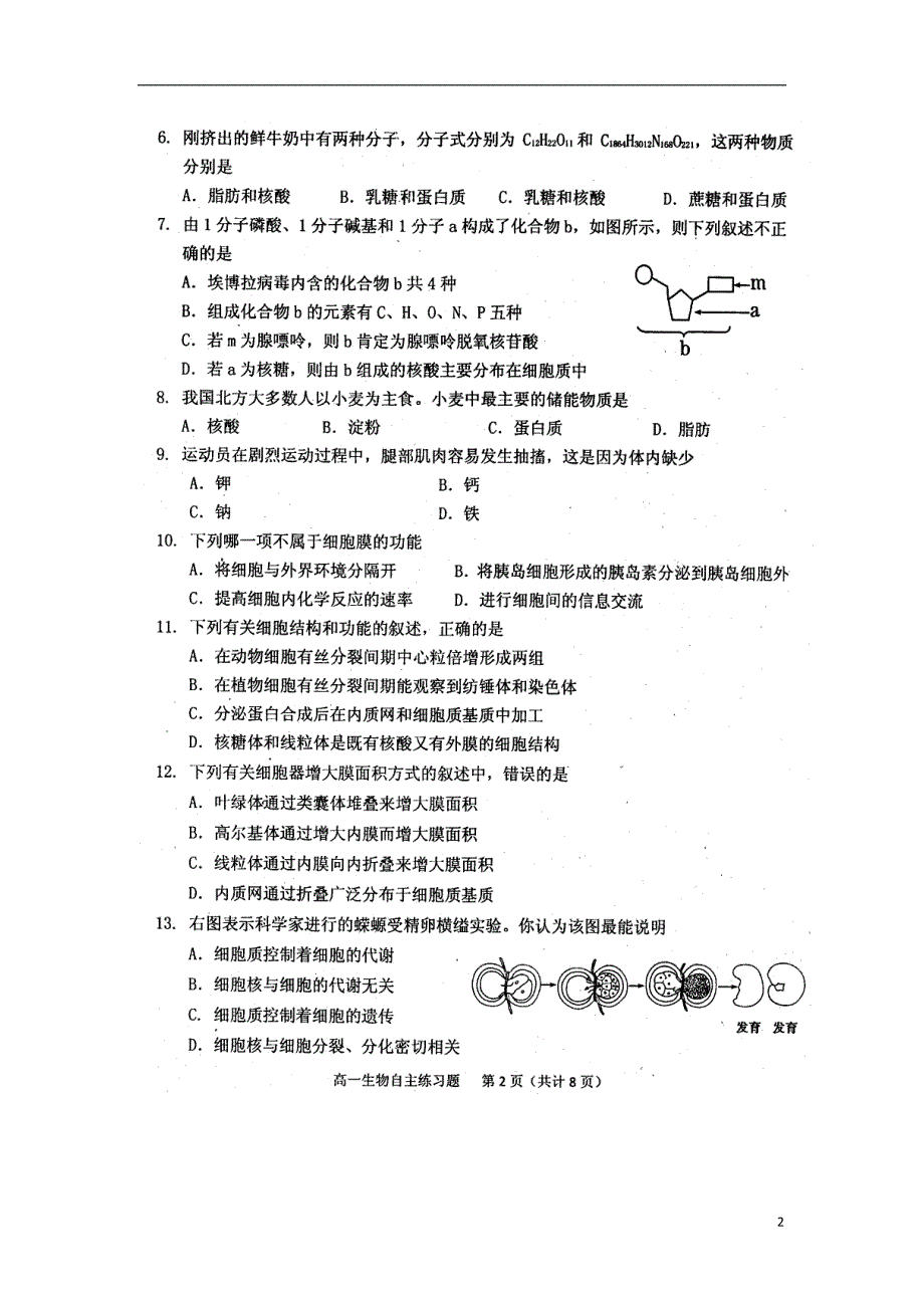 山东烟台高一生物期末自主练习.doc_第2页