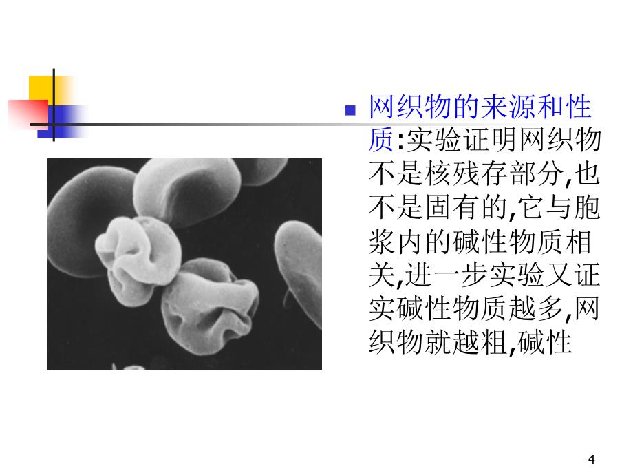 网织红细胞意义PPT参考课件_第4页