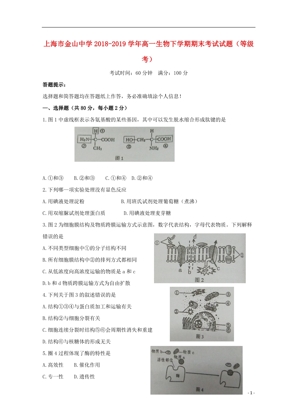 上海金山中学高一生物期末考试等级考.doc_第1页