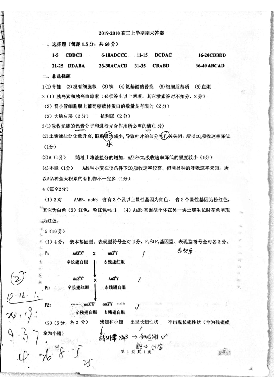 福建省2020届高三生物上学期期末考试试题（PDF）答案.pdf_第1页