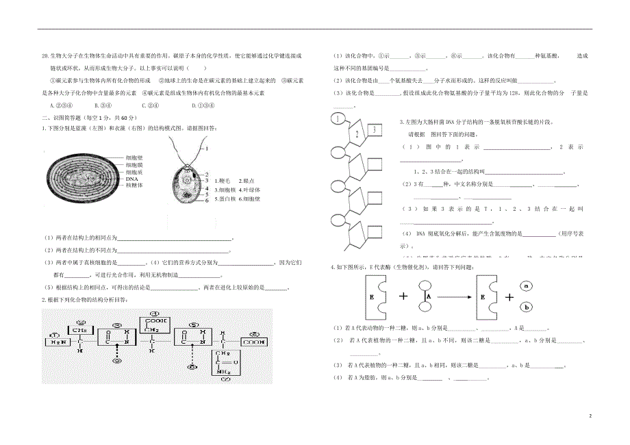 新疆克拉玛依第十三中学高一生物教学质量检测1.doc_第2页