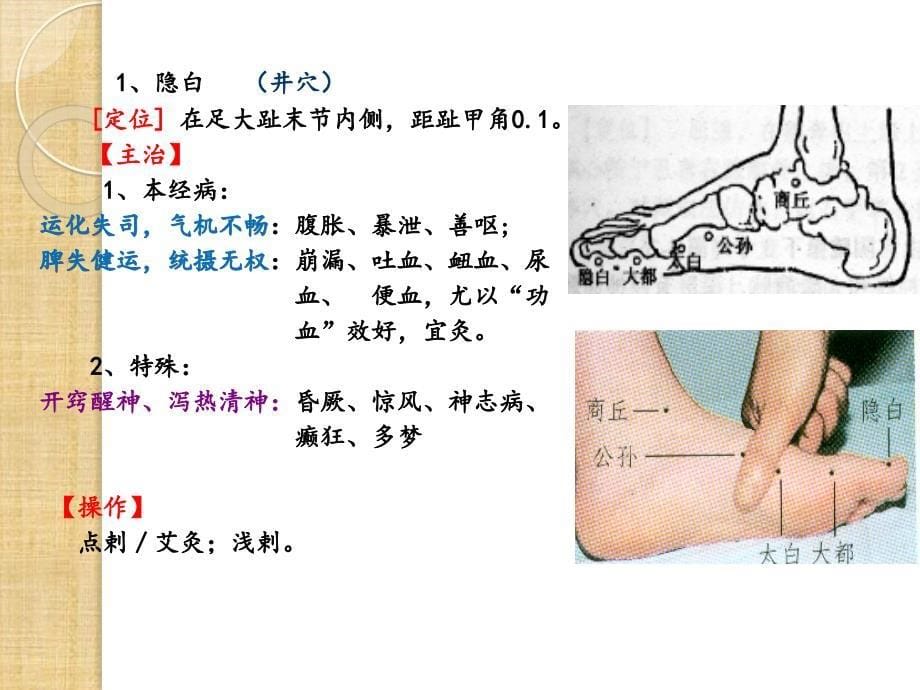 足太阴脾经 重点穴位PPT幻灯片_第5页