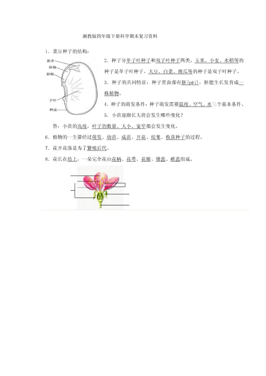 2018湘教版四年级下册科学期末复习资料_第1页