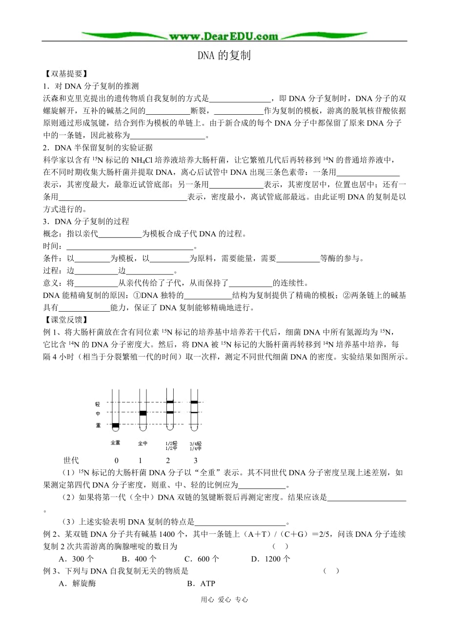 高中生物DNA的复制教案必修2.doc_第1页