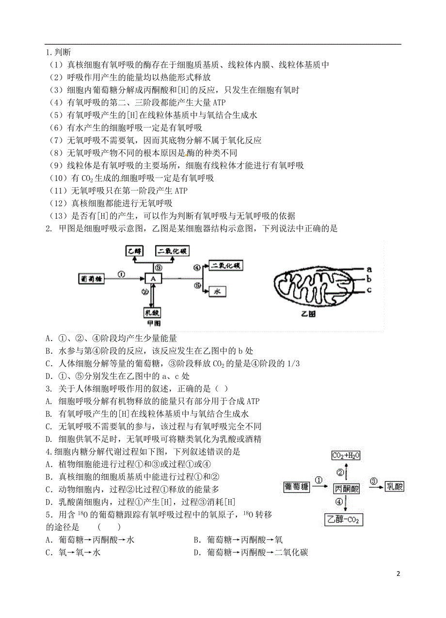 江苏海门实验学校高三生物一轮复习5.3ATP的主要来源细胞呼吸学案1.doc_第2页