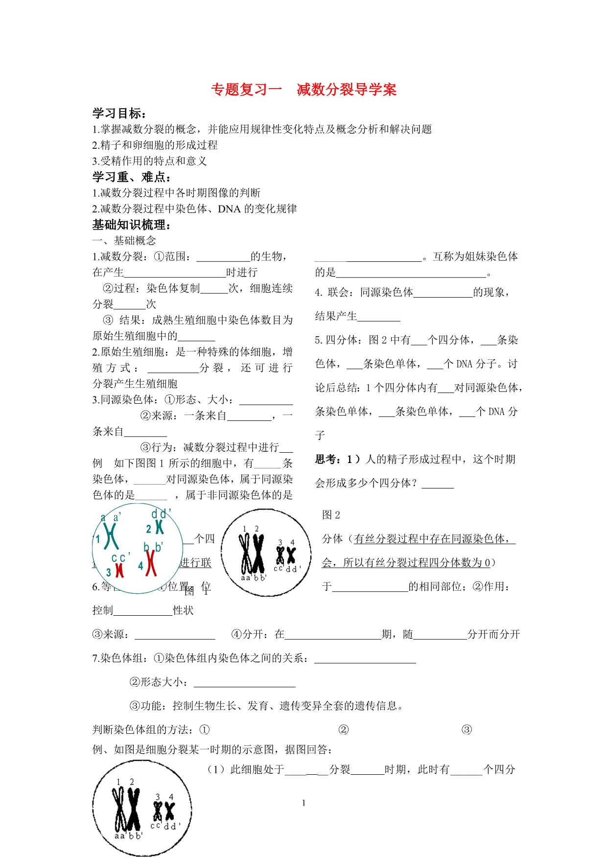 高中生物减数分裂复习一导学案必修2.doc_第1页