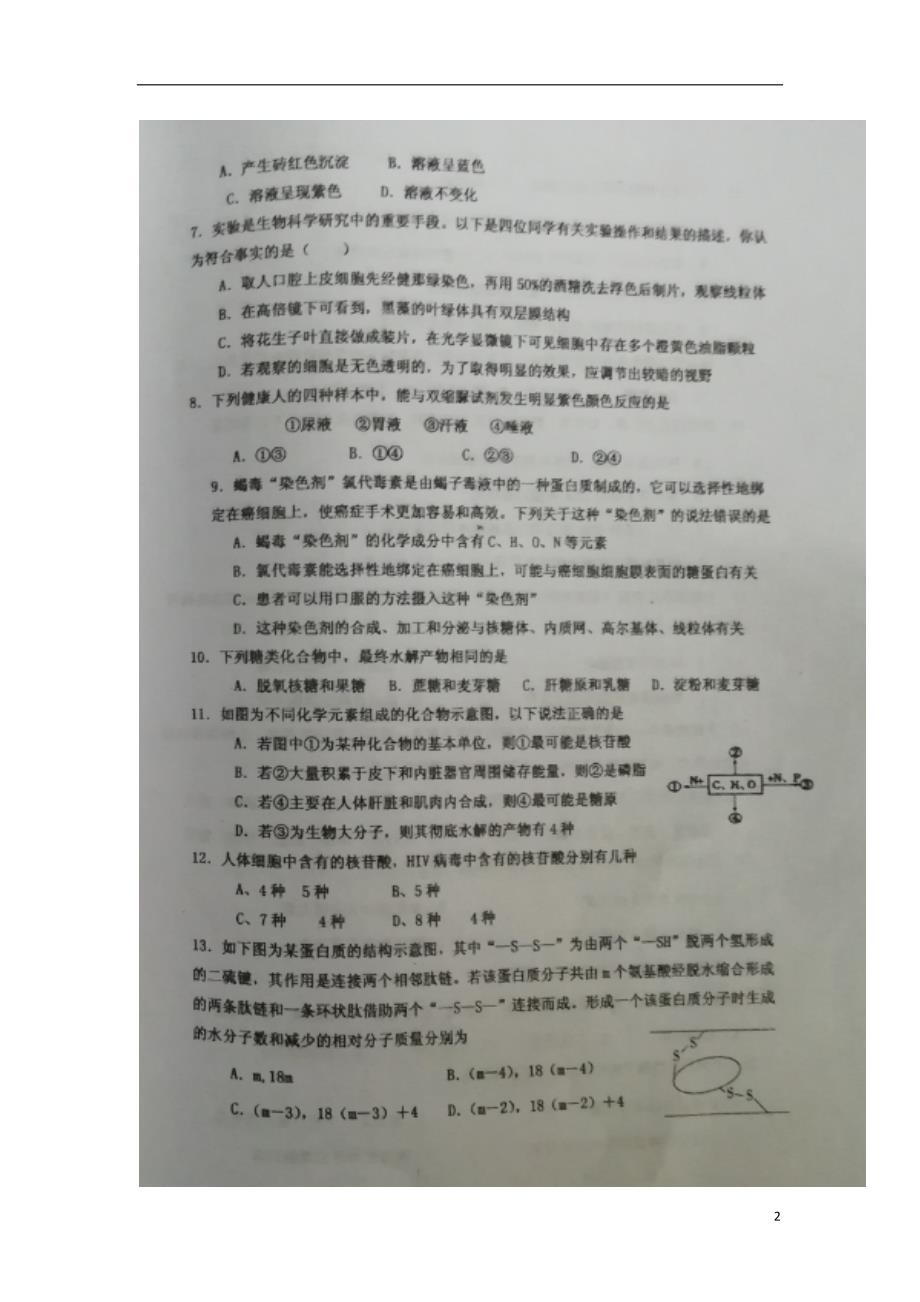 山东枣庄第八中学南校区高二生物月考.doc_第2页