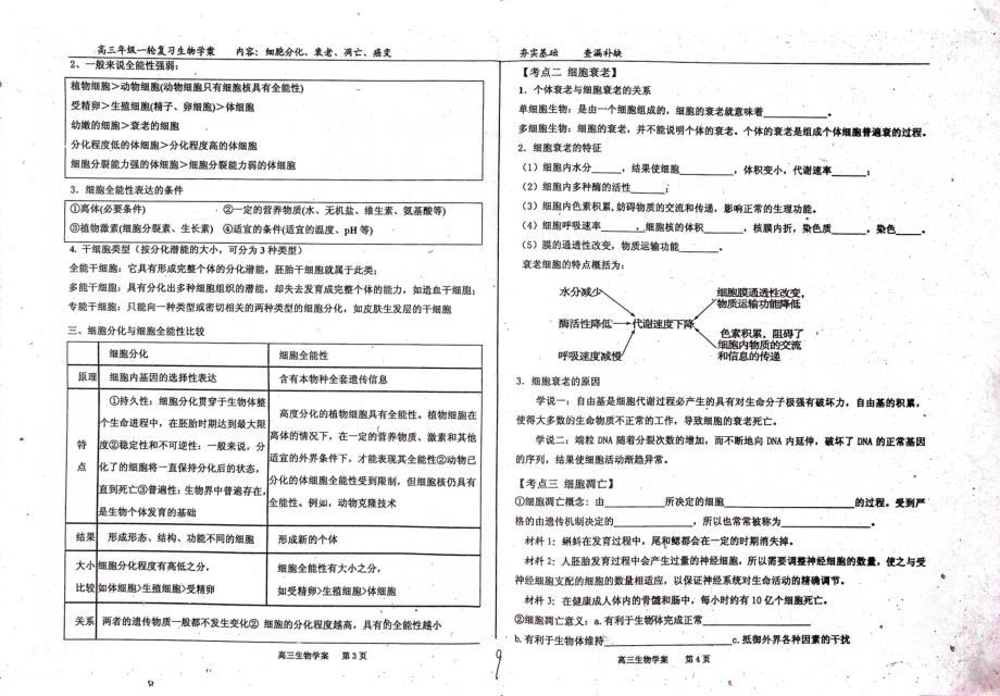 河北衡水中学高三生物一轮复习细胞分化、衰老、凋亡、癌变学案pdf不全 1.pdf_第2页