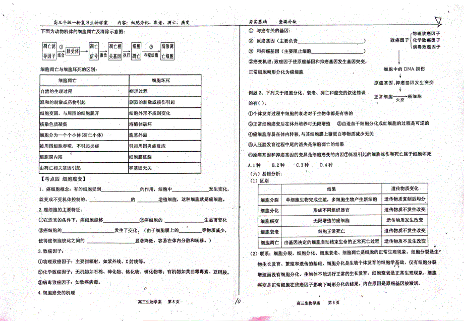 河北衡水中学高三生物一轮复习细胞分化、衰老、凋亡、癌变学案pdf不全 1.pdf_第3页