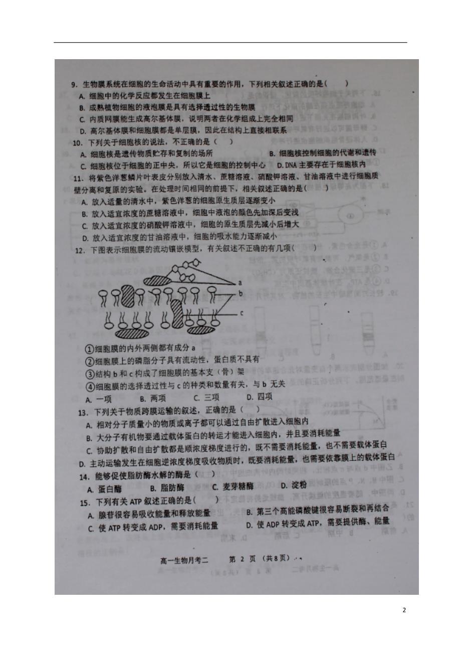 山西怀仁高一生物第一次月考2.doc_第2页