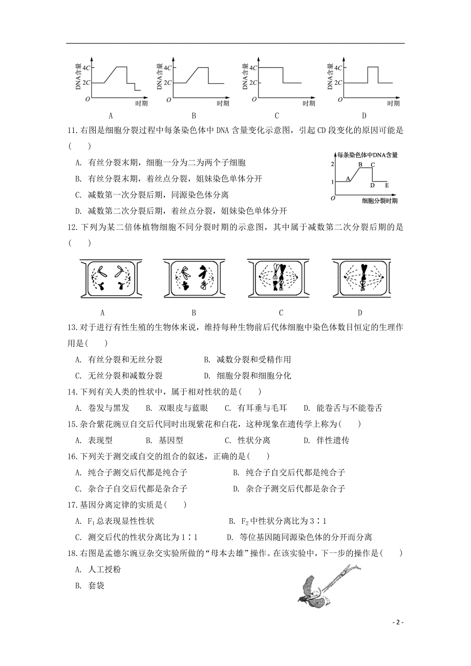 江苏马坝高级中学高一生物期中.doc_第2页