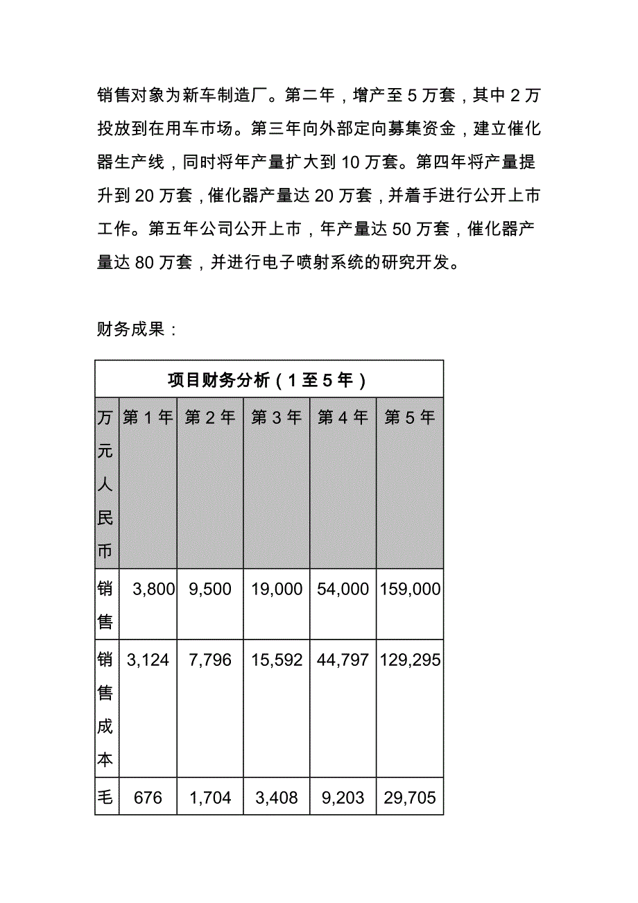 汽车电子调节系统项目商业实施计划书_第4页