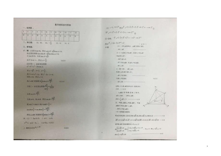 宁夏六盘山高级中学高三数学上学期期末考试试题理(扫描版).pdf_第3页