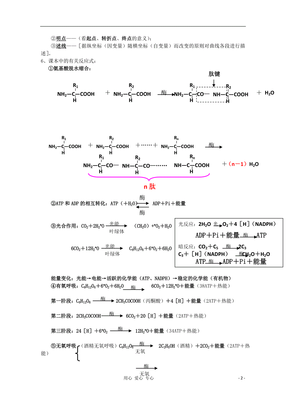 高考生物重要规律性关系及公式归纳.doc_第2页