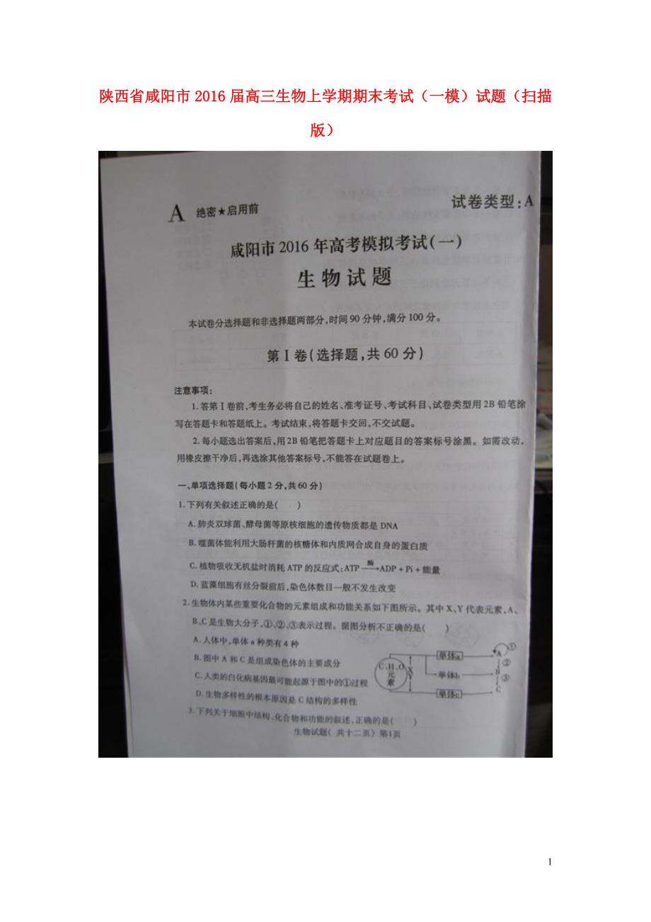陕西咸阳高三生物期末考试一模.doc_第1页