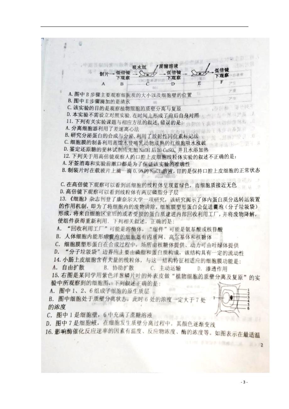 内蒙古赤峰高二生物期中.doc_第3页