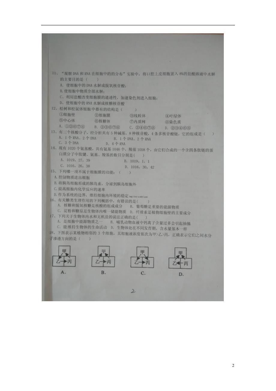 山东聊城冠实验高一生物期末考试1.doc_第2页