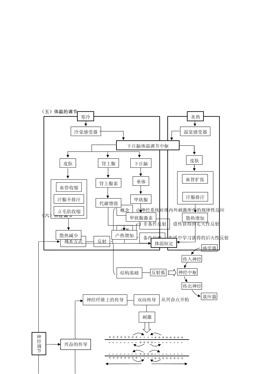 高三生物二轮复习八动植物生命活动的调节学案pdf.pdf_第3页