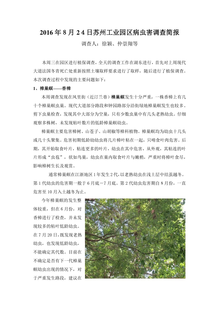 2016年8月24日苏州工业园区病虫害调查简报_第1页