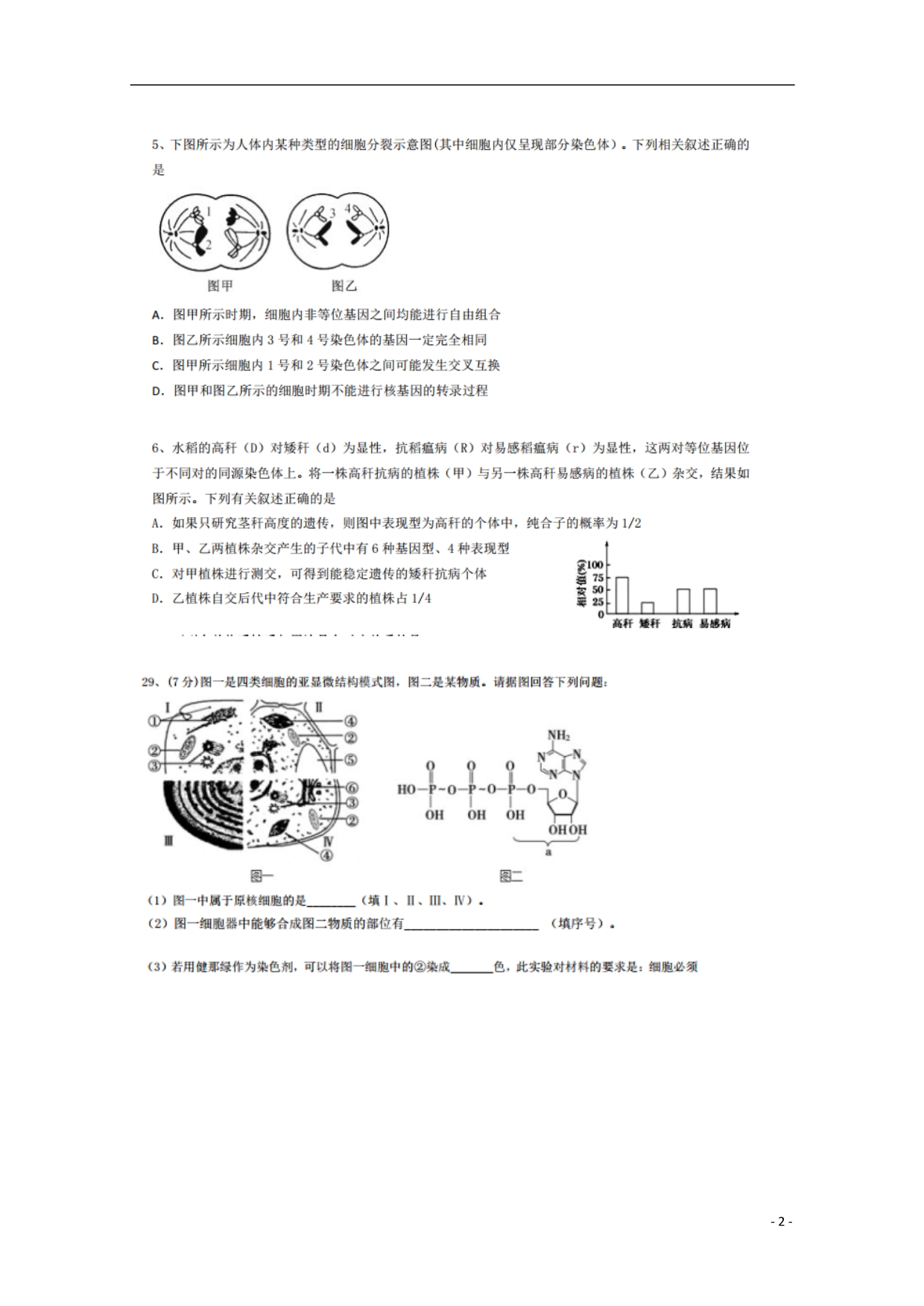 湖北荆州中学高三生物第四次双周考1.doc_第2页